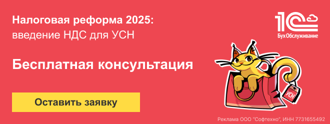 Бесплатная консультация по изменениям в УСН с 2025 года